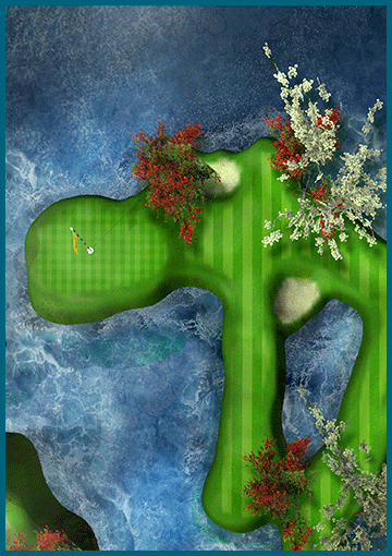 Overhead layout of hole 8