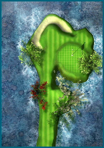 Overhead layout of hole 17